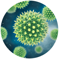 Roborock H6 hjelper deg å fjerne 2–100 μm stort pollen